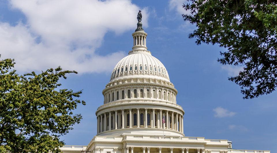 Image shows the Capitol dome