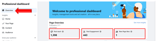 Professional dashboard