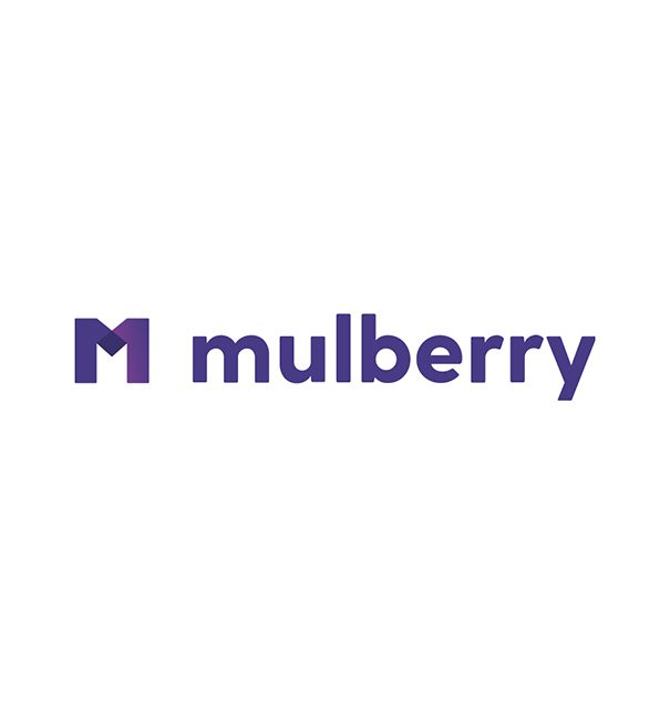 Mulberry Technology logo